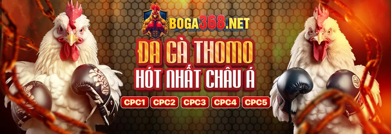 Tầm nhìn và sứ mệnh của TJ77