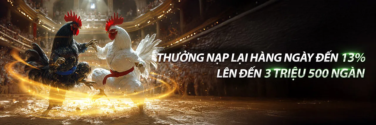 Hình ảnh chính hỗ trợ TJ77 trang chủ chính thức